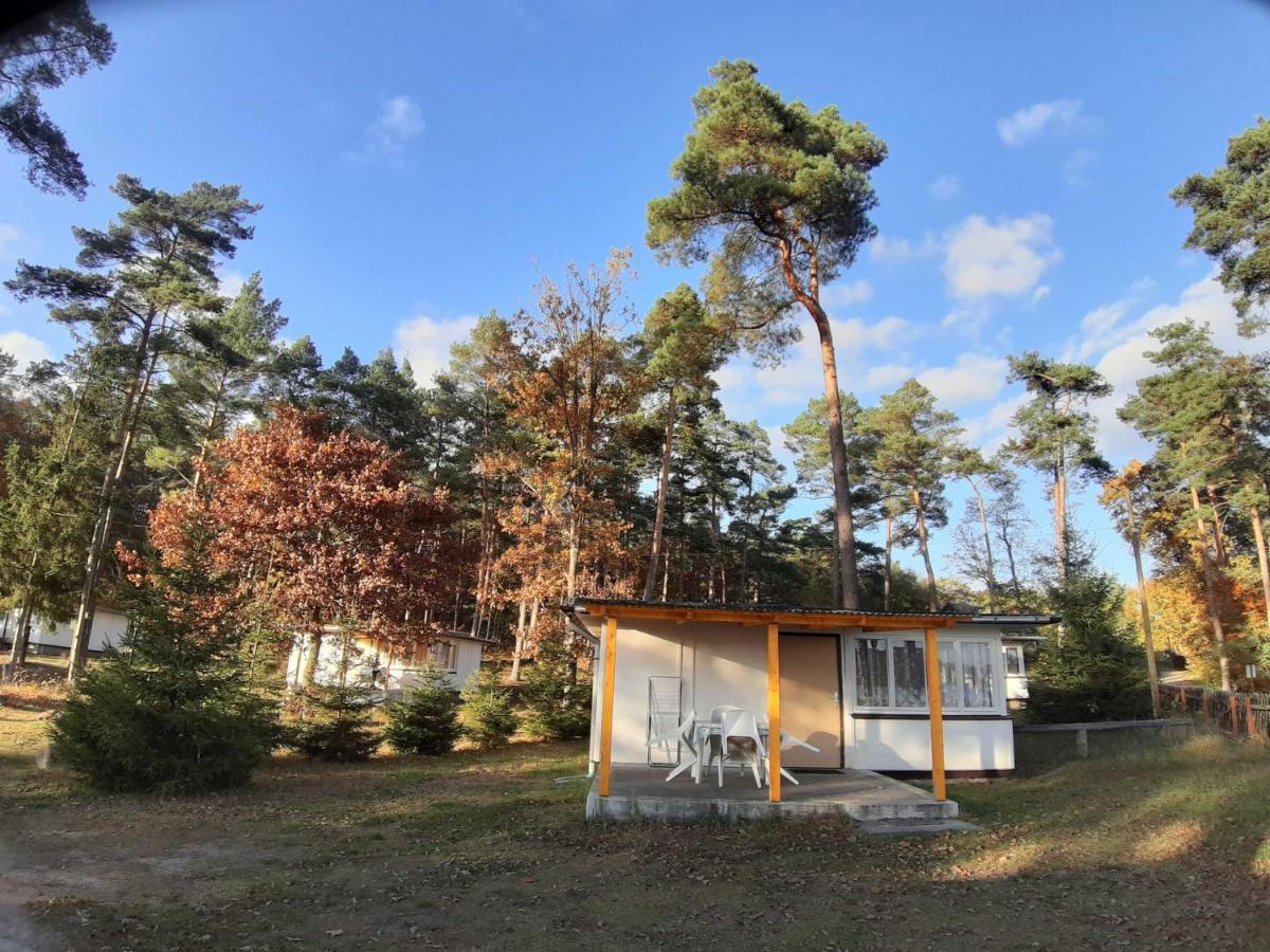 Seenland Betriebsgesellschaft Mbh
